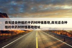 <b>�ϳ��ʺ���ֲ����ҩ����ֲ����,�ϳ��ʺ���ֲ����ҩ����ֲ���ص�</b>