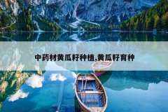 <b>��ҩ�Ļƹ�����ֲ,�ƹ�������</b>