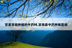 <b>���������ֲ����ҩ��,��������ҩ��ֲ����</b>