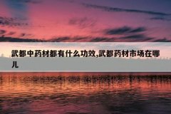 <b>�䶼��ҩ�Ķ���ʲô��Ч,�䶼ҩ���г����Ķ�</b>