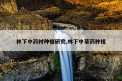 <b>������ҩ����ֲ�о�,�����в�ҩ��ֲ</b>