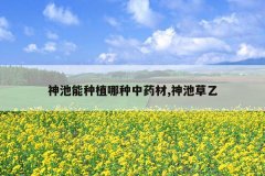 <b>�������ֲ������ҩ��,��ز���</b>