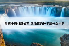 <b>��ֲ��ҩ�ķ��ɻ�,���ɻ���������ʲô��ҩ</b>