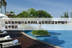 <b>ɽ������ֲʲô��ҩ��,ɽ�������ʺ���ֲʲô�в�ҩ</b>