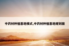 <b>��ҩ����ֲ����ģʽ,��ҩ����ֲ���ع滮ͼ</b>