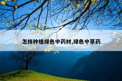<b>������ֲ��ɫ��ҩ��,��ɫ�в�ҩ</b>