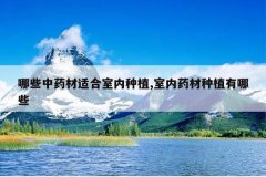 <b>��Щ��ҩ���ʺ�������ֲ,����ҩ����ֲ����Щ</b>