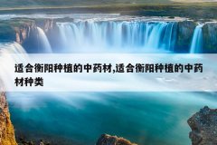 <b>�ʺϺ�����ֲ����ҩ��,�ʺϺ�����ֲ����ҩ������</b>