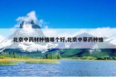 <b>������ҩ����ֲ�ĸ���,�����в�ҩ��ֲ</b>