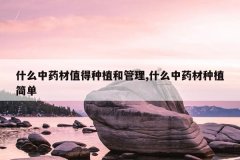 <b>ʲô��ҩ��ֵ����ֲ�͹���,ʲô��ҩ����ֲ��</b>