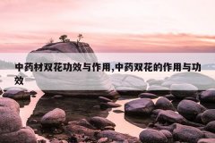 <b>��ҩ��˫����Ч������,��ҩ˫���������빦Ч</b>