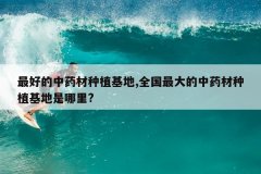 <b>��õ���ҩ����ֲ����,ȫ��������ҩ����ֲ����������?</b>