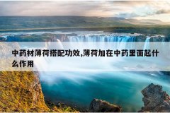 <b>��ҩ�ı��ɴ��书Ч,���ɼ�����ҩ������ʲô����</b>