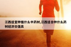 <b>����������ֲʲô��ҩ��,�����ʺ���ʲôҩ�ľ��ü�ֵ��</b>