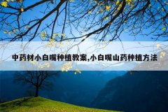 <b>��ҩ��С������ֲ�̰�,С����ɽҩ��ֲ����</b>