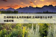 <b>������ֲʲô��ҩ�����,������ֲʲô��ҩ�������</b>