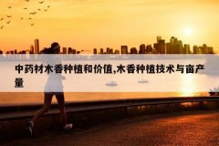 <b>��ҩ��ľ����ֲ�ͼ�ֵ,ľ����ֲ������Ķ����</b>