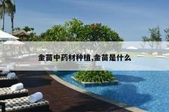 <b>������ҩ����ֲ,������ʲô</b>