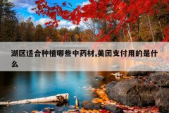 <b>�����ʺ���ֲ��Щ��ҩ��,����֧���õ���ʲô</b>
