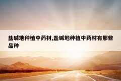 <b>�μ����ֲ��ҩ��,�μ����ֲ��ҩ������ЩƷ��</b>