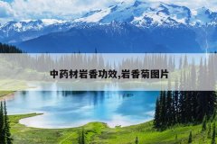 <b>��ҩ�����㹦Ч,�����ͼƬ</b>