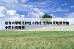 <b>�ʺ����ɵ�����ֲ��ҩ��,�ʺ����ɵ�����ֲ��ҩ������Щ</b>
