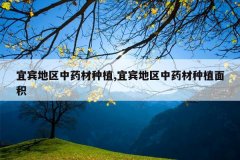 <b>�˱�������ҩ����ֲ,�˱�������ҩ����ֲ���</b>