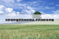 <b>��Ұ����ֲ��ҩ�ĵ�����,��ҩ��Ұ����ֲ</b>