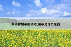 <b>��ҩ������Ĺ�Ч,������ʲô����</b>