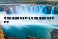 <b>ӡ������ֲ��Щ��ҩ��,ӡ������ֲ��Щ��ҩ����</b>