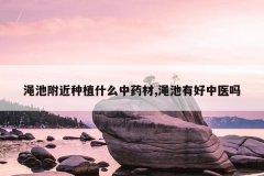 <b>�ųظ�����ֲʲô��ҩ��,�ų��к���ҽ��</b>