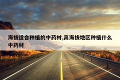 <b>�����ʺ���ֲ����ҩ��,�ߺ��ε�����ֲʲô��ҩ��</b>