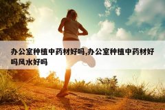 <b>�칫����ֲ��ҩ�ĺ���,�칫����ֲ��ҩ�ĺ����ˮ����</b>
