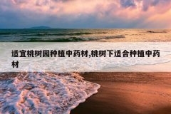 <b>��������԰��ֲ��ҩ��,�������ʺ���ֲ��ҩ��</b>