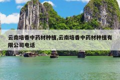 <b>����������ҩ����ֲ,����������ҩ����ֲ���޹�˾�绰</b>