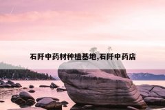 <b>ʯ����ҩ����ֲ����,ʯ����ҩ��</b>