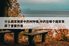<b>ʲô�����Ƴ���ҩ����ֲ,��ҩ���ĸ����ҷ�������Ҫ����</b>
