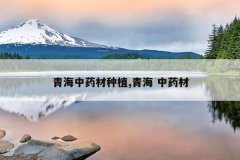 <b>�ຣ��ҩ����ֲ,�ຣ ��ҩ��</b>