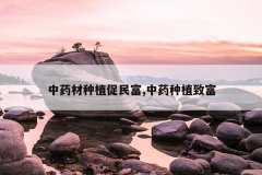 <b>��ҩ����ֲ����,��ҩ��ֲ�¸�</b>