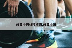 <b>᪻���ҩ����ֲ��,᪻��й�</b>