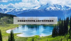 <b>������ͨ��ҩ����ֲ,�����в�ҩ��ֲ����</b>