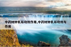 <b>��ҩ������ʯ��Ч����,��ҩ������ʯ��Ч������</b>