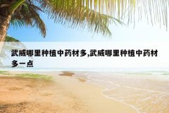 <b>����������ֲ��ҩ�Ķ�,����������ֲ��ҩ�Ķ�һ��</b>