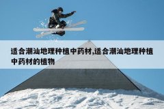 <b>�ʺϳ��ǵ�����ֲ��ҩ��,�ʺϳ��ǵ�����ֲ��ҩ�ĵ�ֲ��</b>