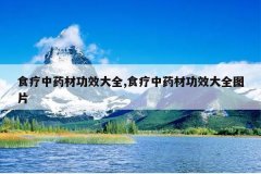 <b>ʳ����ҩ�Ĺ�Ч��ȫ,ʳ����ҩ�Ĺ�Ч��ȫͼƬ</b>
