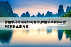 <b>��ֲ��ҩ�Ĺ�����β���,��ֲ��ҩ���в�����?��ʲô�ط���</b>