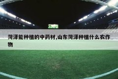 <b>��������ֲ����ҩ��,ɽ��������ֲʲôũ����</b>