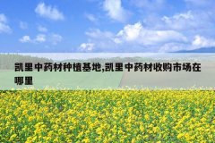 <b>������ҩ����ֲ����,������ҩ���չ��г�������</b>