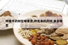 <b>��ֲ��ҩ����������,�ֳ�����ҩ��,��ȥ����</b>