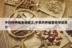 <b>��ҩ����ֲ����ʩ��,�в�ҩ��ֲ������Ŀ���</b>